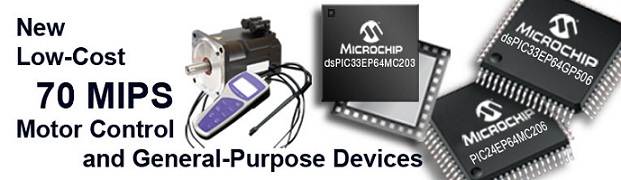 Mips motor control
