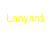 Lanyard