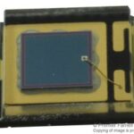 TEMD5020X01 Vishay Photodiode PIN Chip 900nm 2-Pin SMD Parts Distributor TEMD5020X01 Vishay Photodiode PIN Chip 900nm 2-Pin SMD