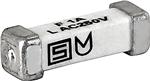 3405.0169.24 Schurter Surface Mount Fuses UMF 2A 250VAC, 125 VDC 2SMD Parts Distributor 3405.0169.24 Schurter Surface Mount Fuses UMF 2A 250VAC, 125 VDC 2SMD