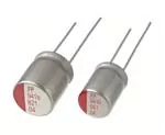 RR71C101MDN1 Nichicon