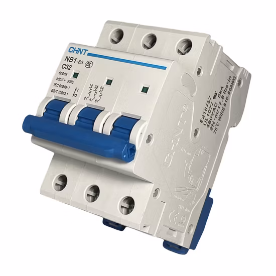 Chint NB1-D63-2P Circuit Breaker 63A 480V 2-pole Parts Distributor Chint NB1-D63-2P Circuit Breaker 63A 480V 2-pole
