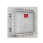 BC-6964 APS Battery Charger Enclosed 24V 50A